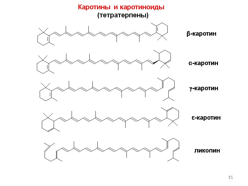 11 Каротины и каротиноиды  (тетратерпены) β-каротин  α-каротин  -каротин  ε-каротин 